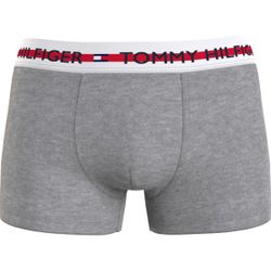 Promo : Boxer logoté ceinture élastique gris TH Underwear - Tommy Hilfiger Underwear - Modalova