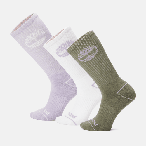 Lot de 3 paires de chaussettes Bowden unisexes en violet, violet, Taille: L - Timberland - Modalova