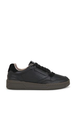 Regan Low Top en . Taille 10. Also en 11, 12, 13, 8, 9 - ALLSAINTS - Modalova