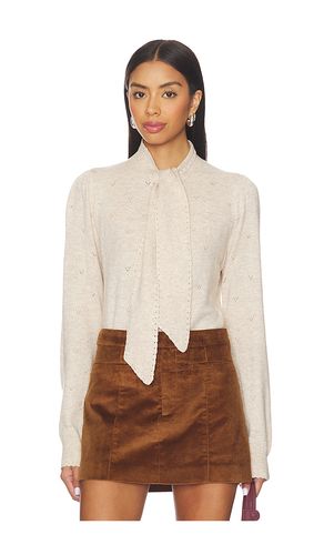 PULL OVALIA en . Taille L. Also en XL - ASTR the Label - Modalova