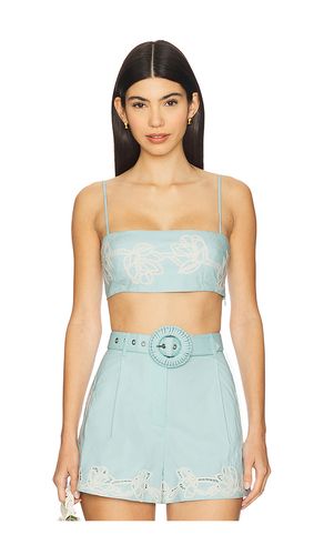 X REVOLVE Bandeau en . Taille L. Also en M, S, XL, XS - HEMANT AND NANDITA - Modalova