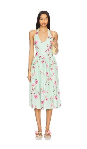 ROBE RESSI en . Taille L. Also en M, S, XL - Steve Madden - Modalova