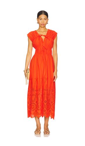 ROBE CLEMENTINA en . Taille L. Also en M, S, XL - Steve Madden - Modalova