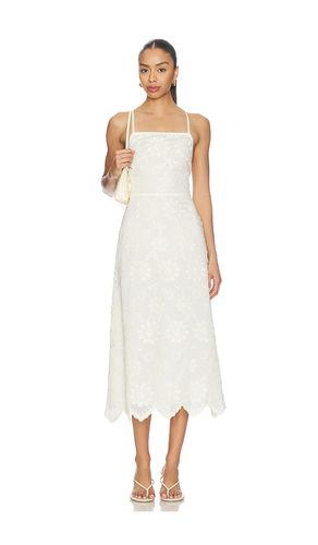 ROBE RIYAN en . Taille S. Also en L - Steve Madden - Modalova