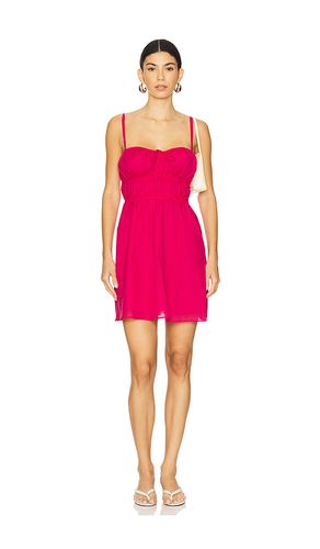 ROBE COURTE HEATHER en . Taille M. Also en S - Steve Madden - Modalova