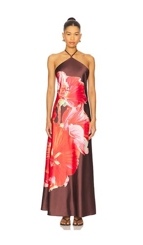 ROBE FLORA en . Taille 0. Also en 10, 2, 4, 6 - Steve Madden - Modalova