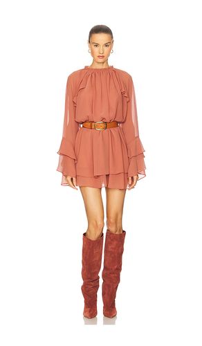 ROBE SOFINA en . Taille L. Also en M, S - Steve Madden - Modalova