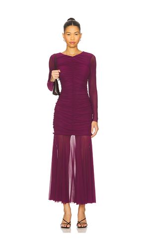 ROBE MAXI KIARA en . Taille L. Also en S, XS - Steve Madden - Modalova