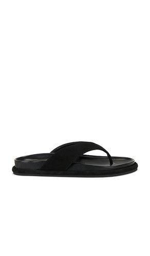 SANDALES DEVON en . Taille 36. Also en - SENSO - Modalova