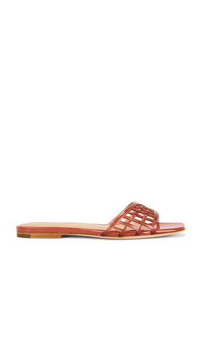 Maris Jelly Sandal en . Taille 10. Also en 5.5, 6, 6.5, 7, 7.5, 8 - Veronica Beard - Modalova