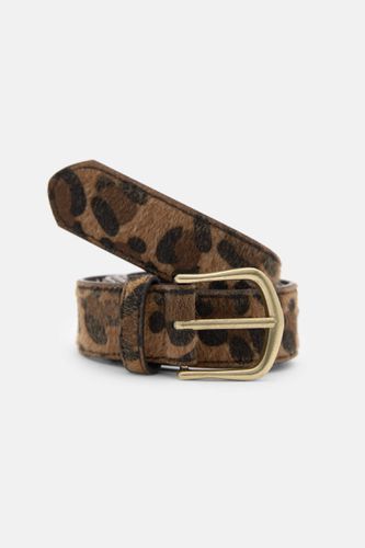 Ceinture Léopard - Pull&Bear - Modalova