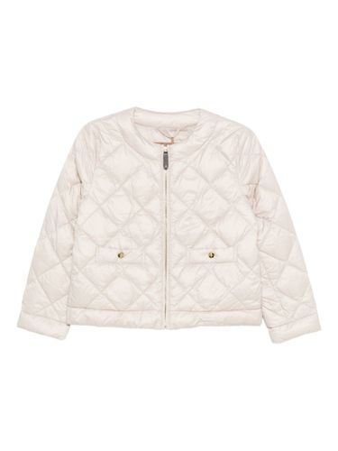 Padded Blouson Jacket - MAX MARA THE CUBE - Modalova