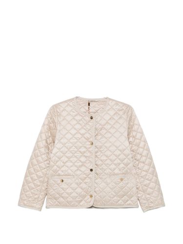 Quilted Blouson Jacket - MAX MARA THE CUBE - Modalova