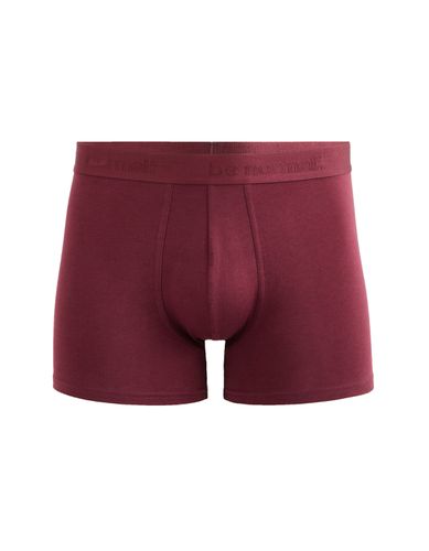 Boxer en coton stretch uni - violet - camaieu - Modalova