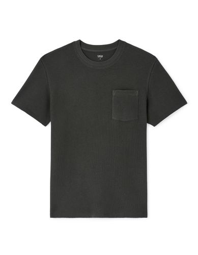 T-shirt col rond 100% coton - noir - camaieu - Modalova