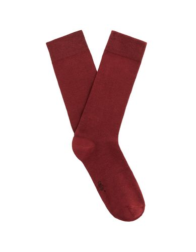 Chaussettes hautes colorées - bordeaux - camaieu - Modalova