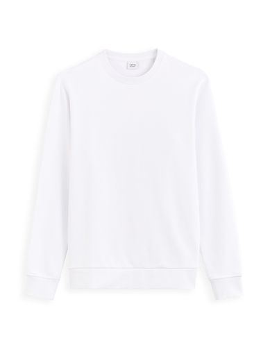 Sweat col rond 100% coton - blanc - camaieu - Modalova