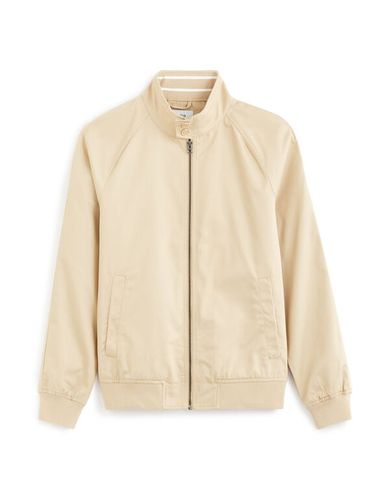 Blouson col montant boutonné - beige - camaieu - Modalova