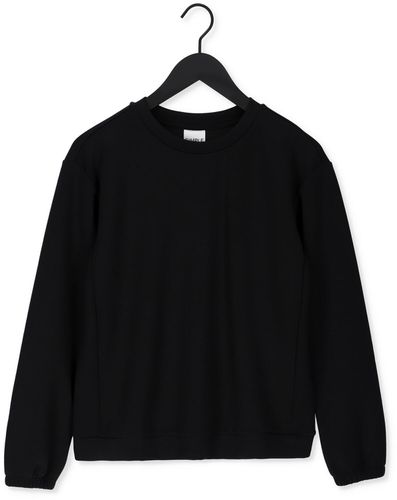 Simple Pull Jersey Sweater Ewen Scuba - France - CSV - Modalova
