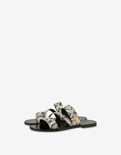 Sandales Plates Imprimé Python - Moschino - Modalova
