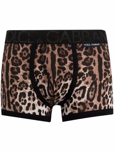 Boxer à imprimé léopard - Dolce & Gabbana - Modalova