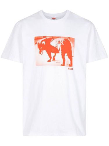 T-shirt Daido Moriyama Dog - Supreme - Modalova