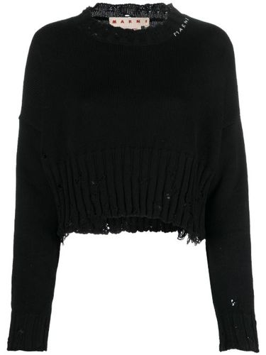 Pull crop à effet usé - Marni - Modalova