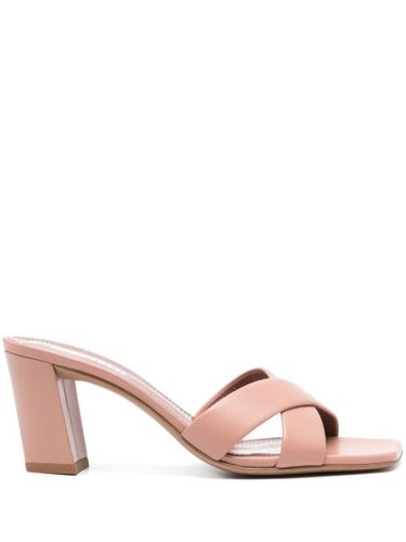 Mules Dafne 70 mm - Paris Texas - Modalova