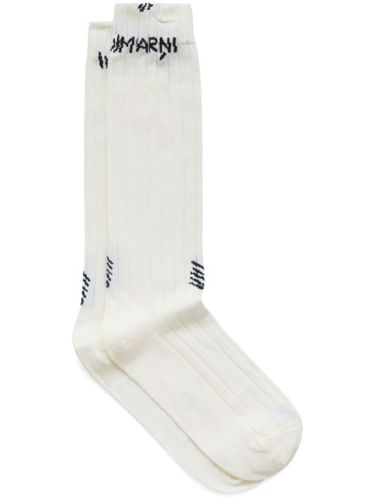 Chaussettes nervurées à logo - Marni - Modalova