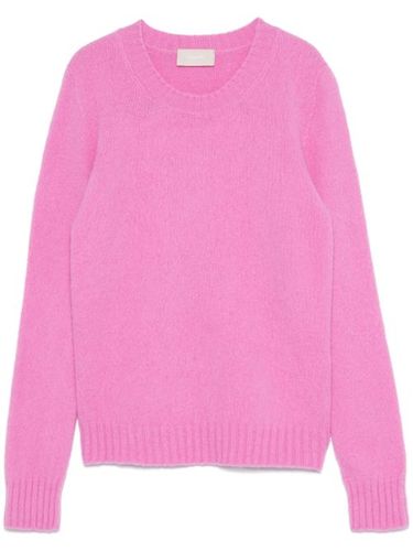 Drumohr pull en laine - Rose - Drumohr - Modalova