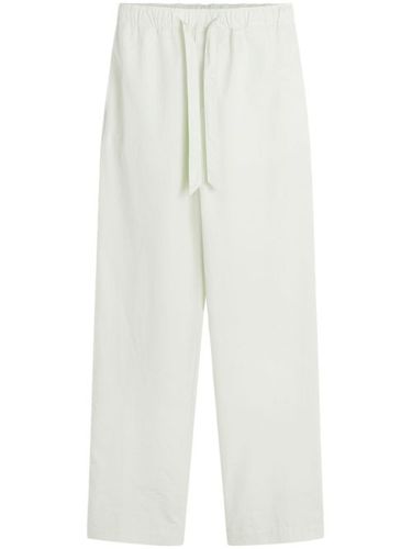 Pantalon de jogging en coton - Lanvin - Modalova