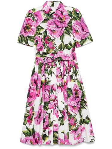 Robe mi-longue à imprimé pivoine - Dolce & Gabbana - Modalova