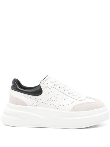 Ash baskets Impulse - Blanc - Ash - Modalova