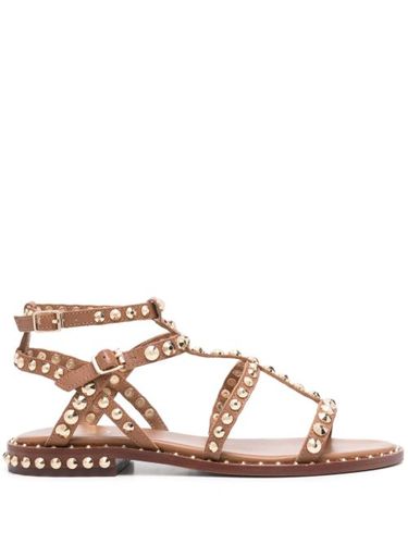 Ash sandales Precious - Marron - Ash - Modalova
