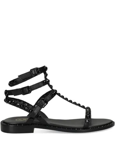 Ash sandales en cuir - Noir - Ash - Modalova