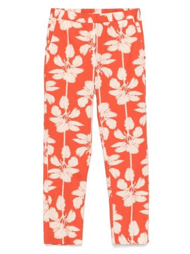 Diega pantalon Pacifico - Orange - Diega - Modalova