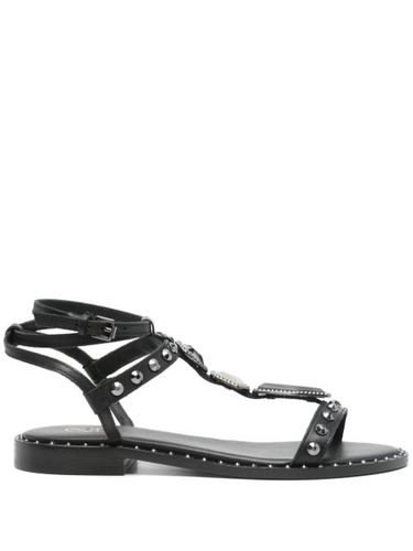 Ash sandales Penny - Noir - Ash - Modalova