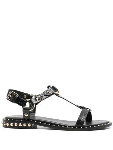 Ash sandales Patsy - Noir - Ash - Modalova