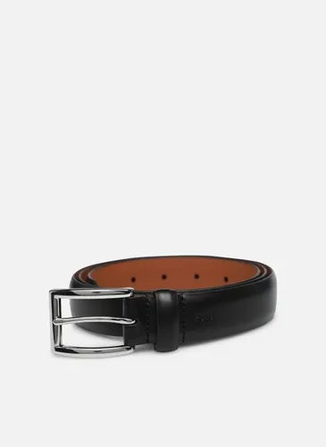 Ceintures 1 1/8 Hrnss-Belt-Medium pour Accessoires - Polo Ralph Lauren - Modalova