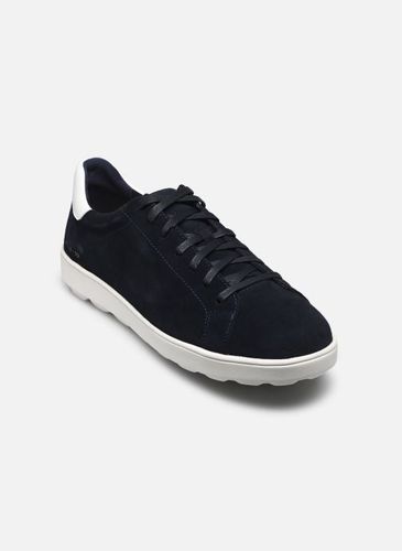 Chaussures à lacets U SPHERICA ECUB-1 - Geox - Modalova