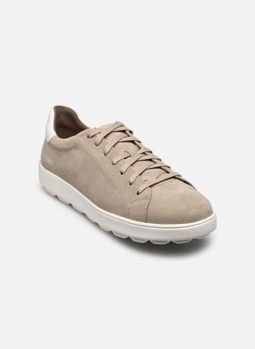 Chaussures à lacets U SPHERICA ECUB-1 - Geox - Modalova
