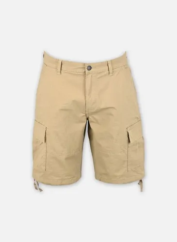 Vêtements ONSRAY LIFE 0020 RIBSTOP CARGO SHORTS pour Accessoires - Only & Sons - Modalova