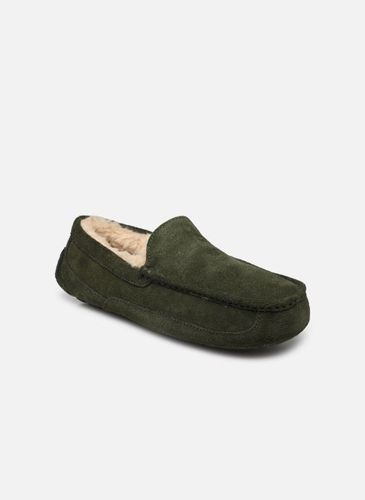 Ascot par UGG - UGG - Modalova