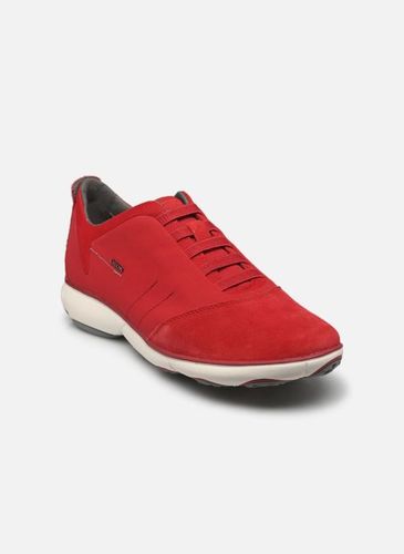 Baskets Geox U NEBULA pour Homme - Geox - Modalova