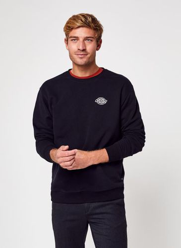 Vêtements Holtville Sweatshirt Black pour Accessoires - Dickies - Modalova