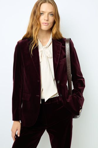 Blazer droit en velours - MAEVA - GD - Modalova