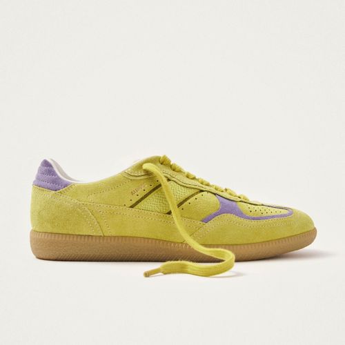 Tb.490 Rife Baskets en Daim Vert Acidulé - ALOHAS - Modalova