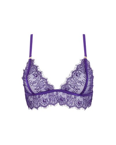 Grace Soft Bra Heliotrope Purple - Bluebella - Modalova