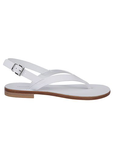 Leather Thong Sandals - Liviana Conti - Modalova