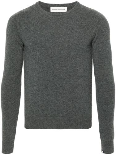 Body Cashmere Crewneck Sweater - Extreme Cashmere - Modalova